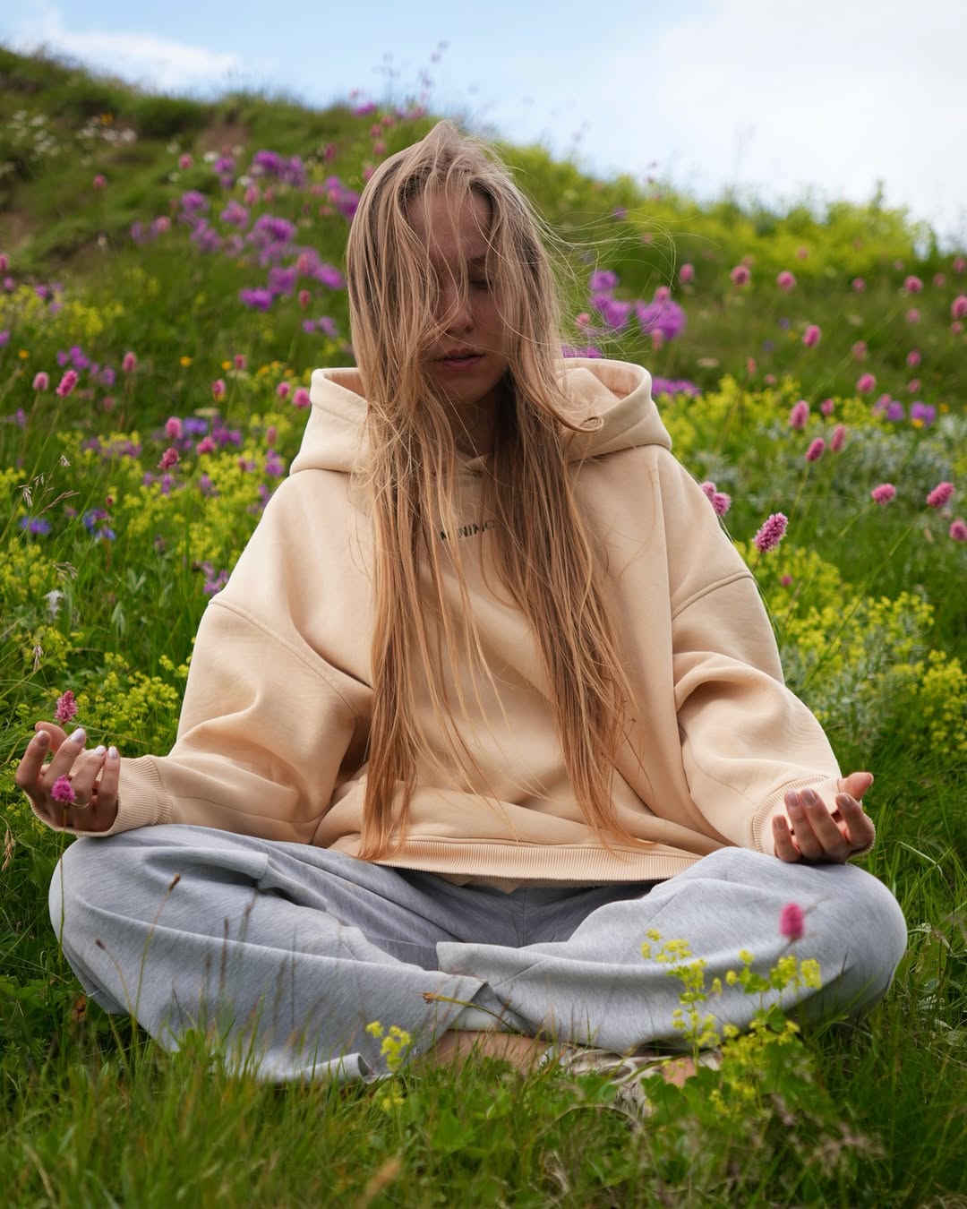 Alt text for the image