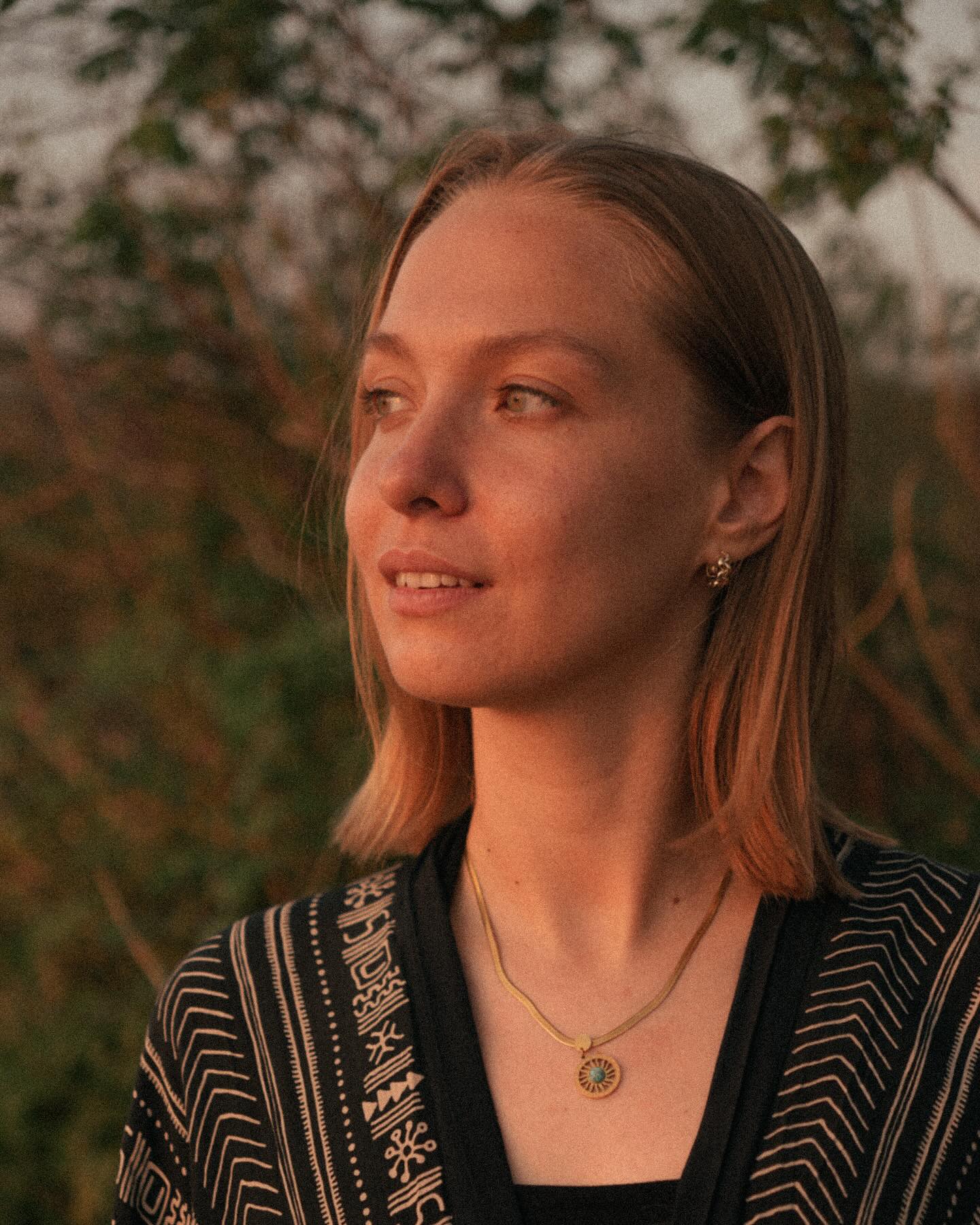 Alt text for the image